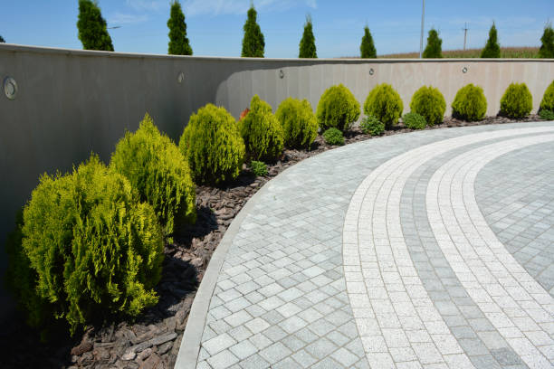 Reasons to Select Us for Your Driveway Paving Requirements in Monticello, MS